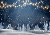 Christmas photo backdrop bokeh background
