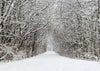 Snowflakes and forest for winter photography backdrop-cheap vinyl backdrop fabric background photography