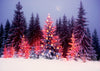 Winter photography backdrop evening forest - whosedrop