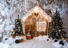 Gingerbread house background Christmas backdrops