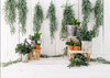 Spring photo backdrops with potted plants