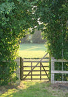 Door Easter spring backdrop green lawn and fence - whosedrop