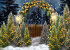 Christmas backdrop forest photo background