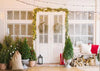 White door backdrop christmas photo background