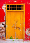 Senior red wall backdrop dark yellow door - whosedrop