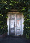 Senior retro door backdrop green leaves - whosedrop