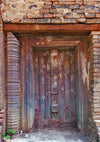 Fuchsia door backdrop senior background-cheap vinyl backdrop fabric background photography