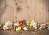 Brown wood backdrop Easter color eggs backdrop-cheap vinyl backdrop fabric background photography