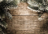 Brown wood backdrop with pine cones-cheap vinyl backdrop fabric background photography