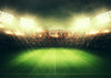 Sports photography backdrop soccer field-cheap vinyl backdrop fabric background photography
