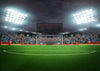 Soccer field backdrop for sport photography-cheap vinyl backdrop fabric background photography