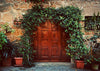 Red-brown vintage door backdrop with green leaves-cheap vinyl backdrop fabric background photography