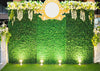 Party wedding photography backdrop green leaves with flower-cheap vinyl backdrop fabric background photography