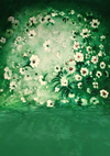 Dark green flower backdrop for baby photography-cheap vinyl backdrop fabric background photography