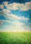 Dirty spring photography backdrop for children-cheap vinyl backdrop fabric background photography