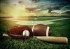 Spring backdrop sport photography background baseball-cheap vinyl backdrop fabric background photography