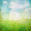 Grunge background spring photography backdrop-cheap vinyl backdrop fabric background photography