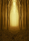 Smoke covered forest photography backdrop-cheap vinyl backdrop fabric background photography