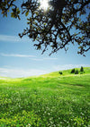 Spring Easter photography backdrop grassland-cheap vinyl backdrop fabric background photography