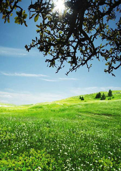 Spring Easter photography backdrop grassland-cheap vinyl backdrop fabric background photography