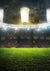 Soccer field photography backdrop sports background