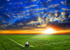 Sports football field backdrop sky cloud-cheap vinyl backdrop fabric background photography