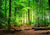 Natural forest trees photography backdrop party decor