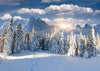 Winter forest backdrop mountain and pine-cheap vinyl backdrop fabric background photography