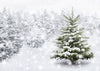 Forest pine tree backdrop winter background-cheap vinyl backdrop fabric background photography