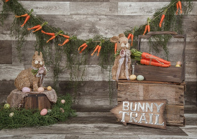 Easter backdrop with bunny and carrot-cheap vinyl backdrop fabric background photography