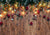 Spring wedding background Valentines Day backdrops