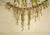 Spring flower backdrop Mother's day background