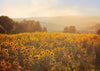 Sunflower backdrops summer scenery background-cheap vinyl backdrop fabric background photography