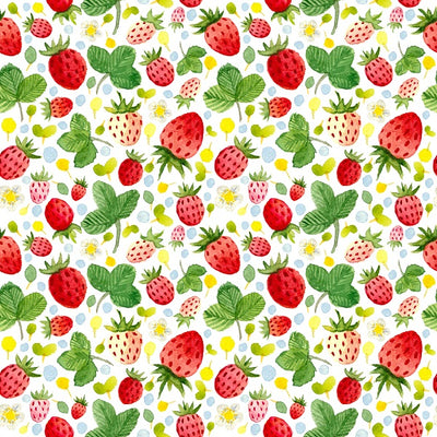 Watercolor cake smash backdrops summer strawberry background - whosedrop