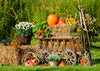 Autumn farm photography backdrop Thanksgiving background-cheap vinyl backdrop fabric background photography