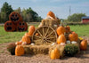 Halloween pumpkin backdrops with hay-cheap vinyl backdrop fabric background photography