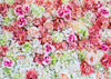 Baby photography colorful flower backdrop - whosedrop