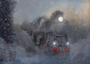 Winter photo backdrops Express train inspired-cheap vinyl backdrop fabric background photography