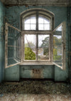 Vintage senior building backdrop photography window - whosedrop