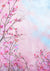 Watercolor pink Floral Wall Photography Backdrop