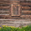 Wooden window wood wall Easter green backdrop-cheap vinyl backdrop fabric background photography