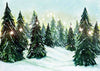 Winter photo background forest pine backdrop