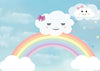 Baby birthday photo backdrop rainbow and clouds-cheap vinyl backdrop fabric background photography