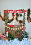 Christmas Winter board door backdrop with Christmas tree-cheap vinyl backdrop fabric background photography