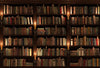 Vintage library bookshelf back to school backdrops-cheap vinyl backdrop fabric background photography