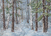 Winter forest backdrop birch background