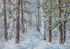 Winter forest backdrop birch background