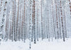 Snowflakes and trees for winter forest backdrops - whosedrop